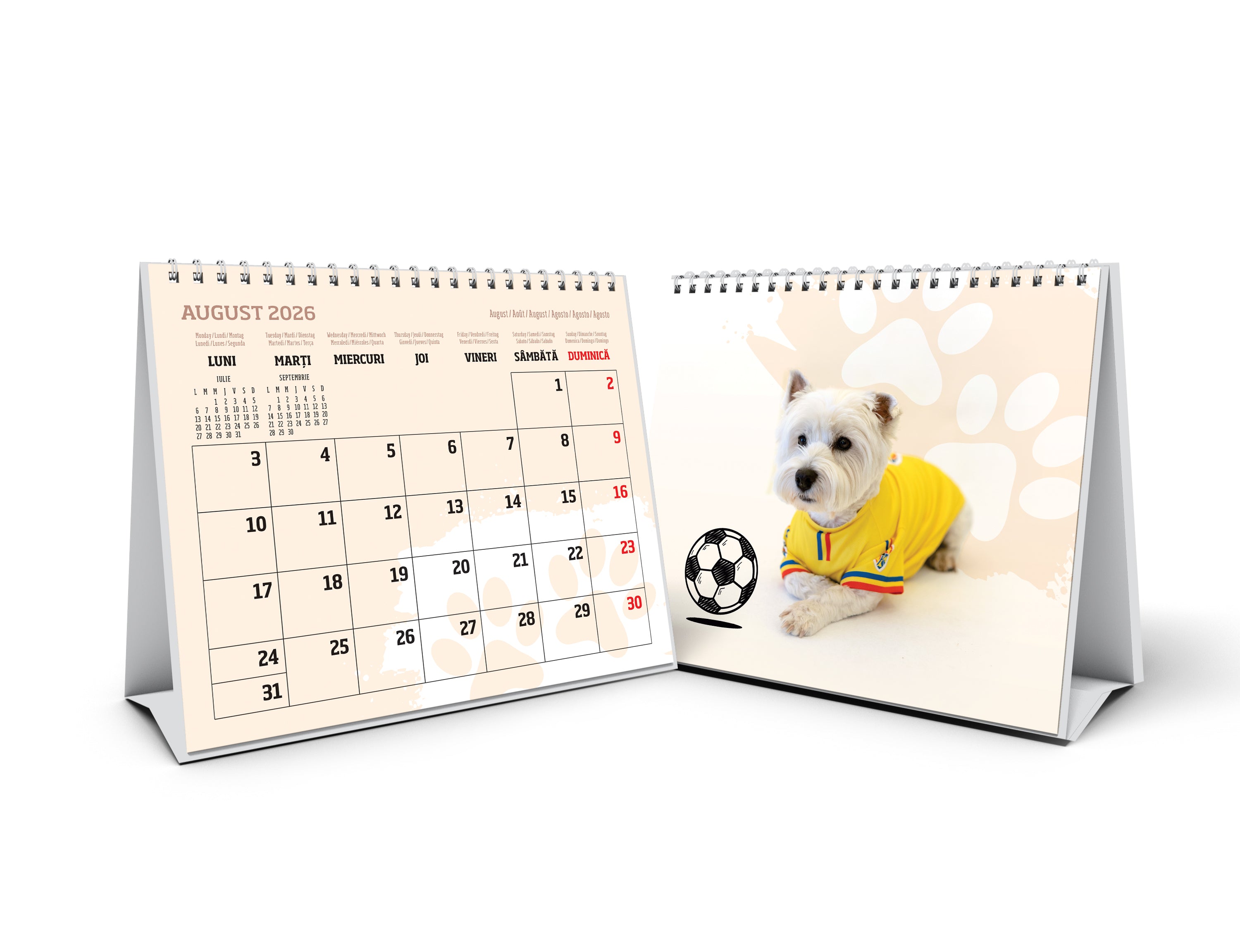 Calendar Birou Tricolorii Romania