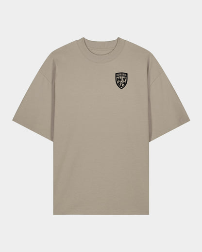 Tricou Oversized Tinta Adulti Romania Stone