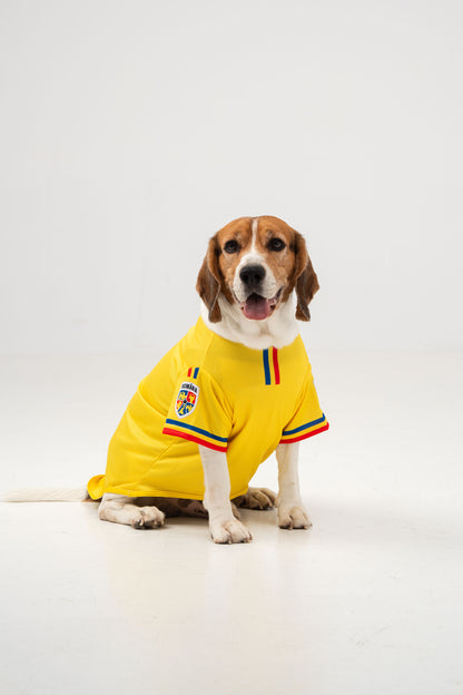 Tricou Câini Galben
