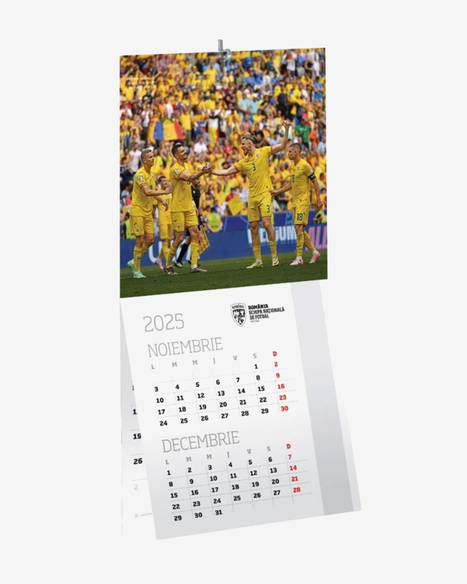Calendar Perete Tricolorii Romania