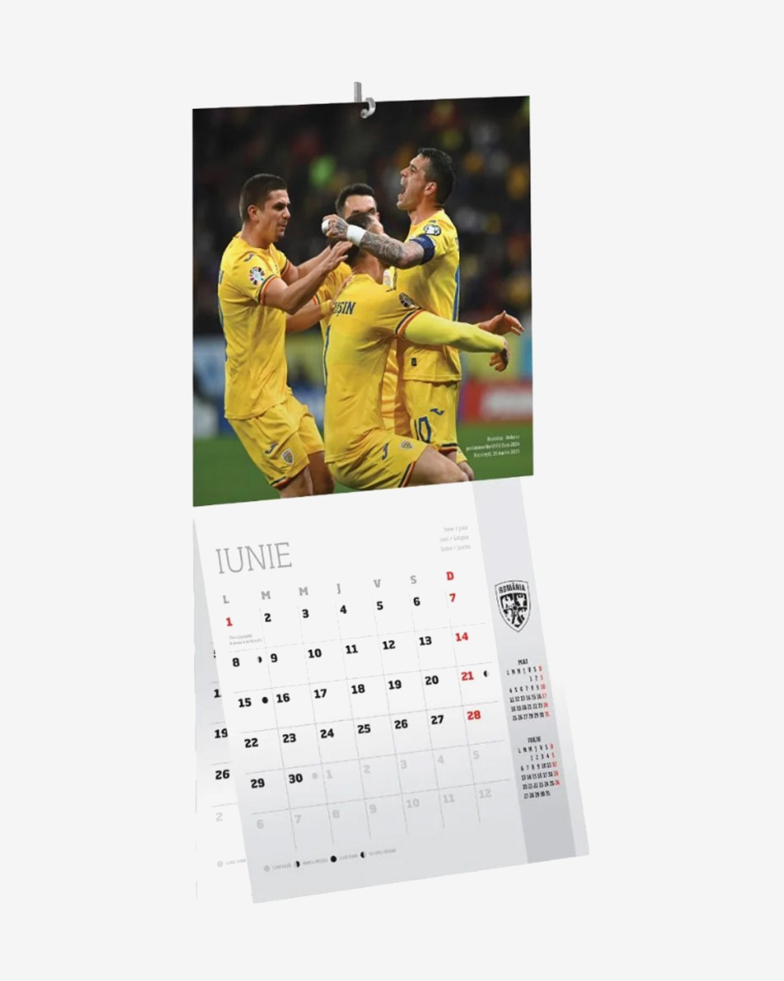 Calendar Perete Tricolorii Romania